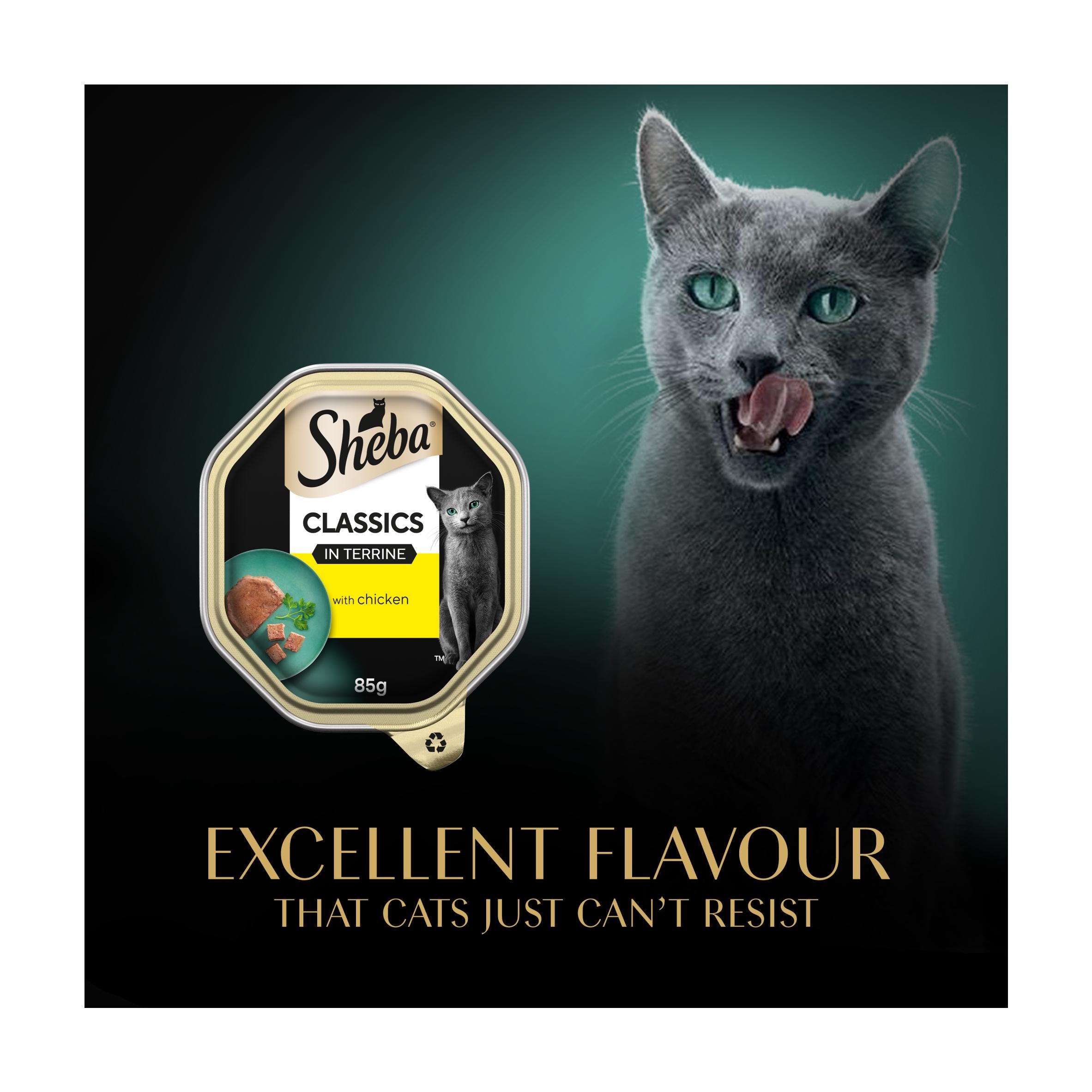 Sheba wet cat food chicken terrine 85g, UK version