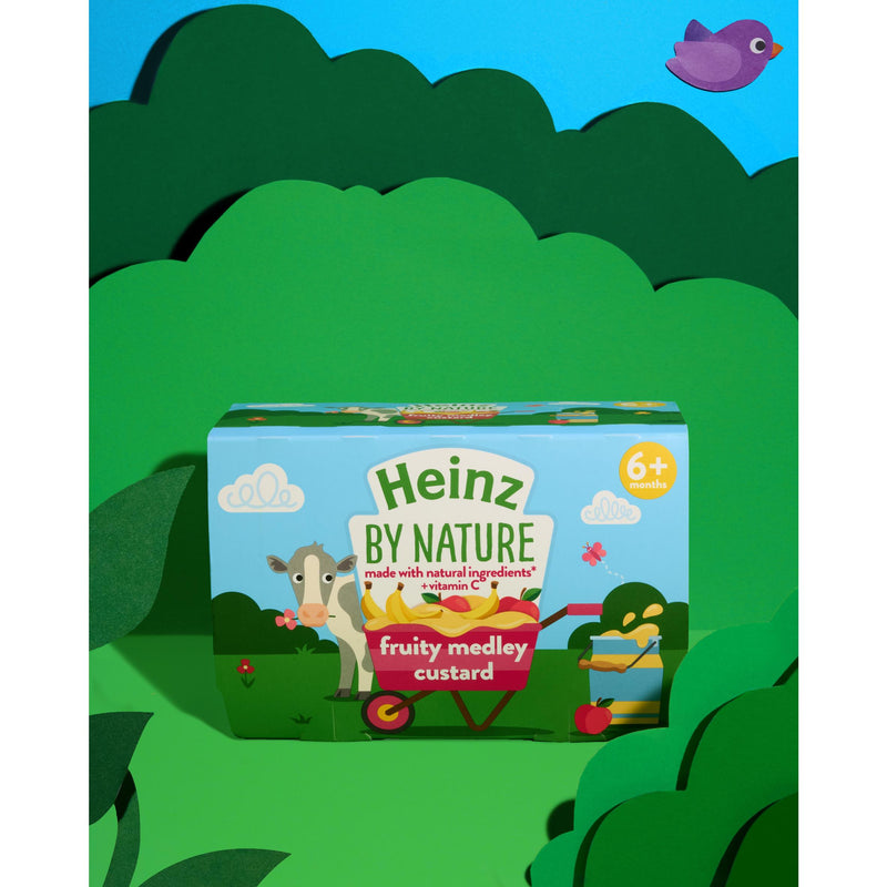 Heinz Fruity Medley Custard baby food 4x100g (British brand)