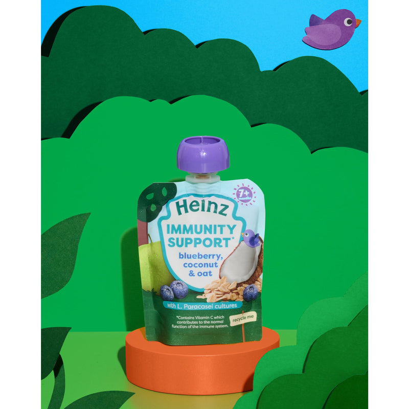 Heinz baby food blueberry coconut oat pouch 85g - British product