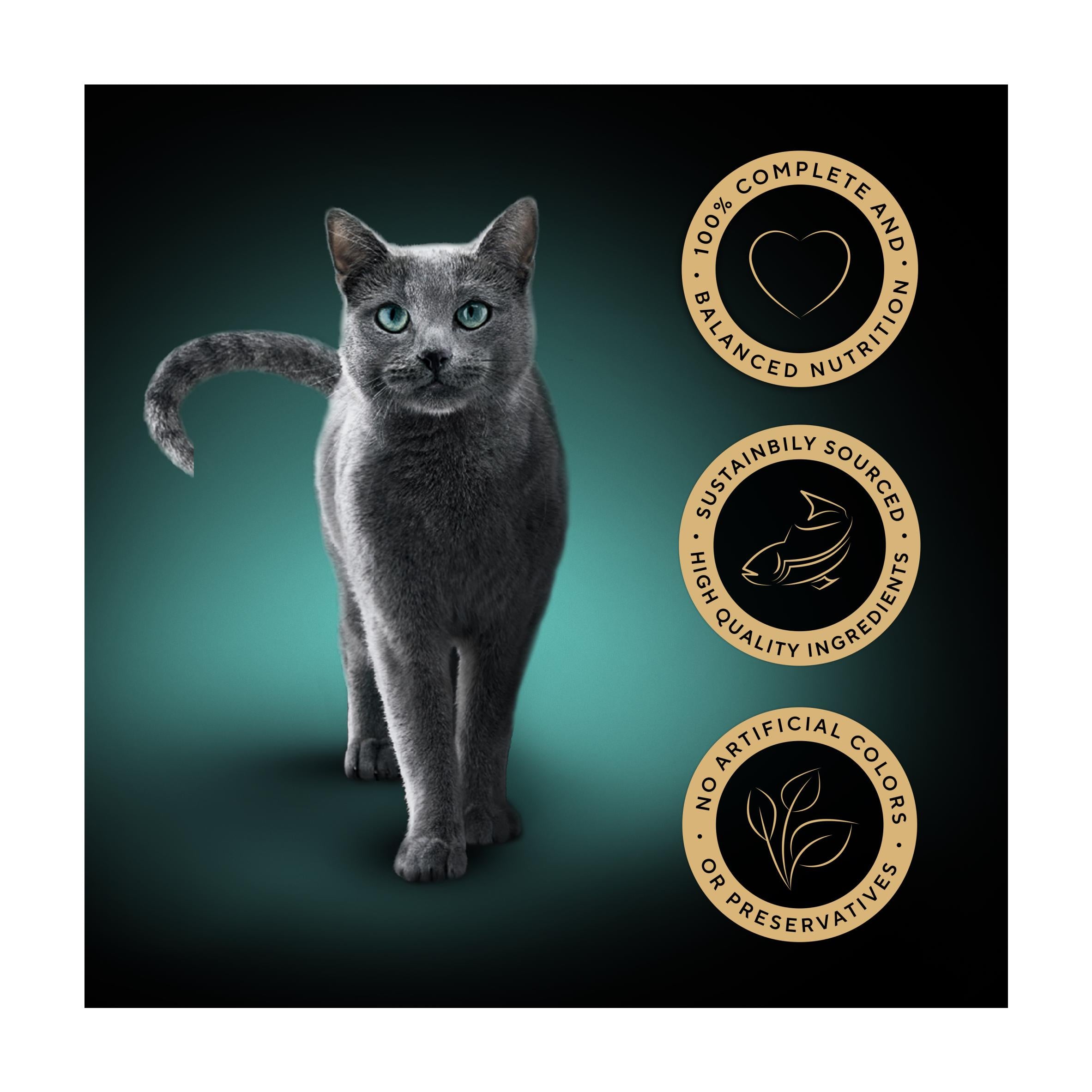Sheba Classics Mixed Ocean wet cat food terrine 85g (British brand)