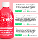 Turmeric Co raw turmeric ginger shot 420ml - British product