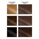 Garnier permanent hair dye Brown 5 (British brand)