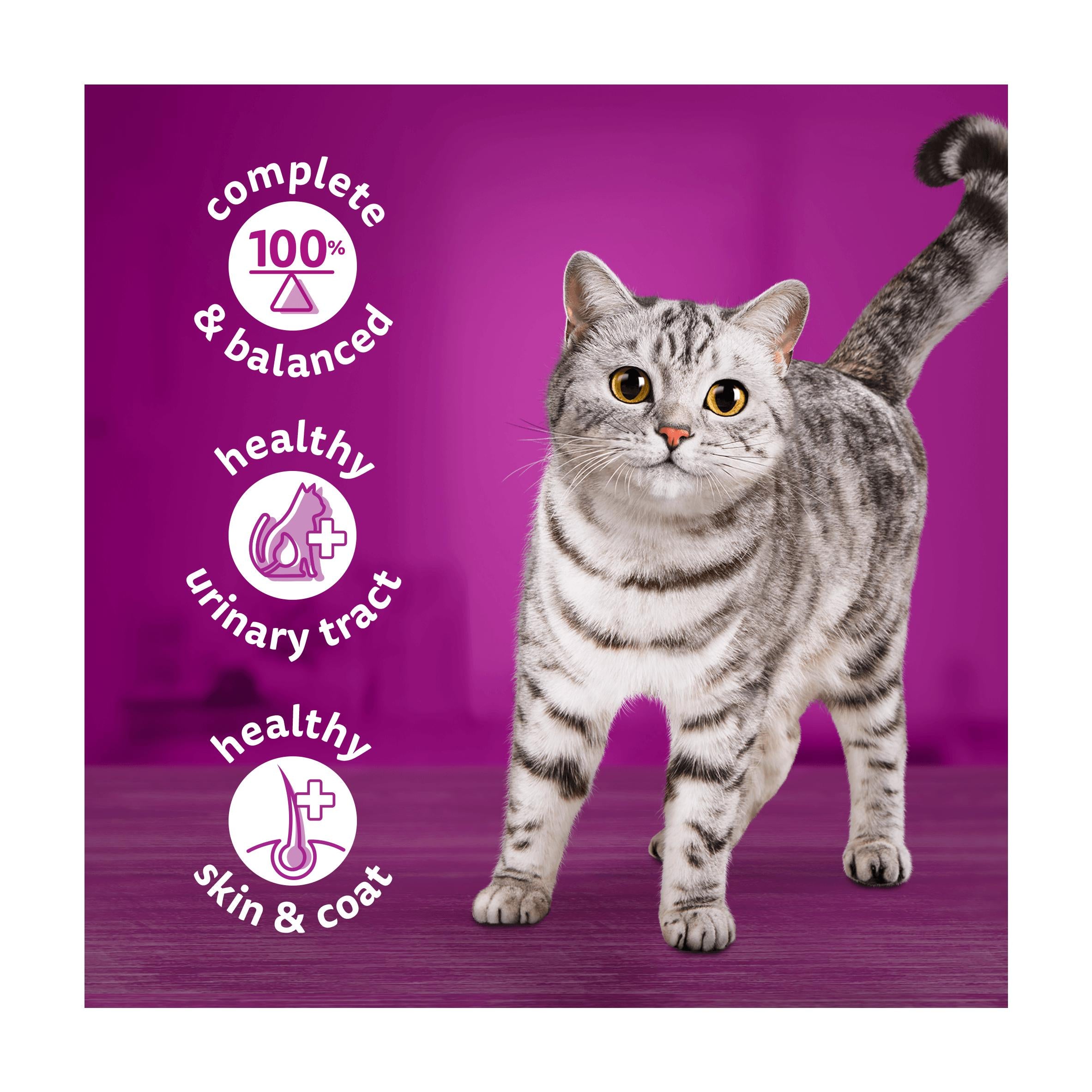 Whiskas Ocean Menu wet cat food 6x400g, imported from the UK