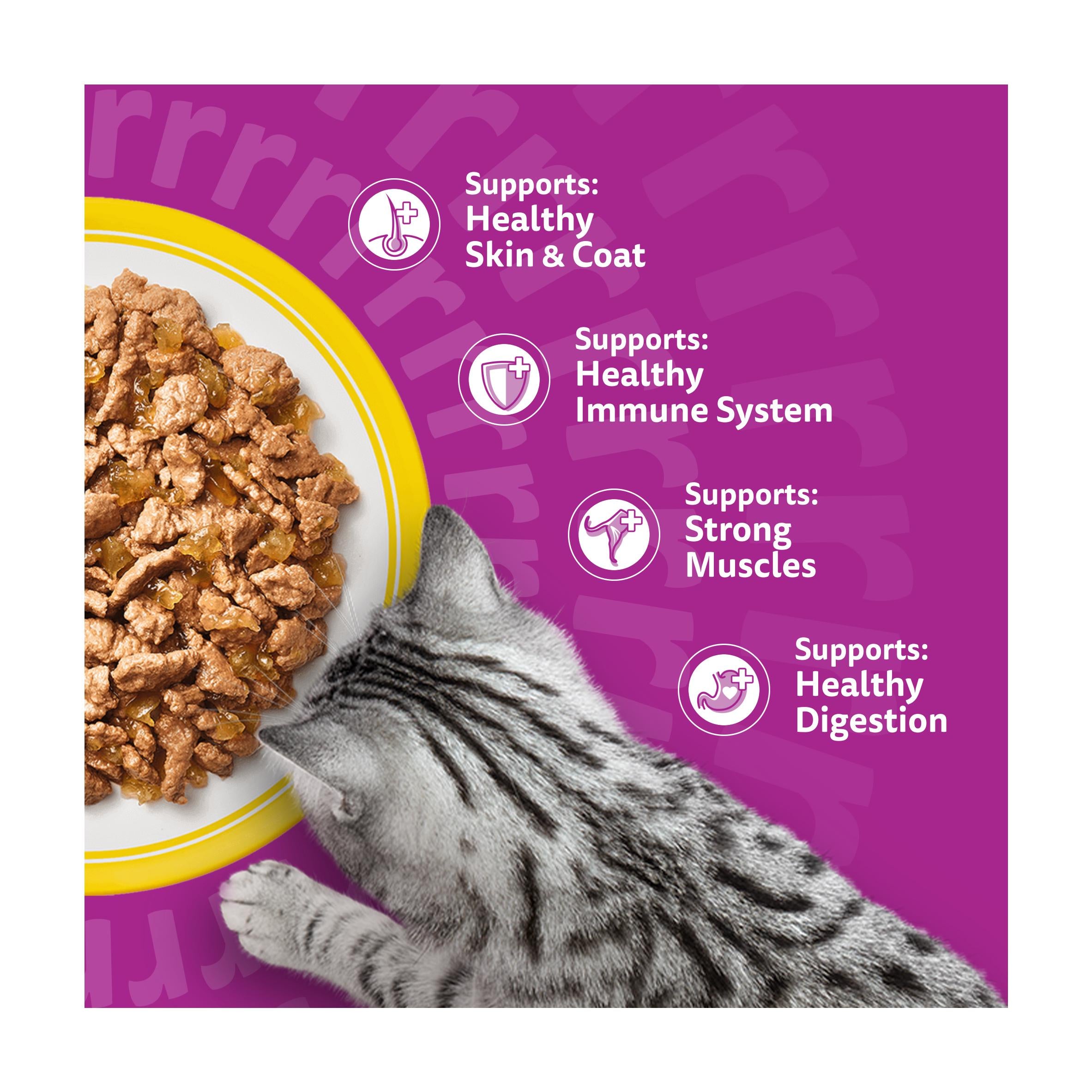 Whiskas Poultry Feasts in Jelly pouches 40x85g - British product