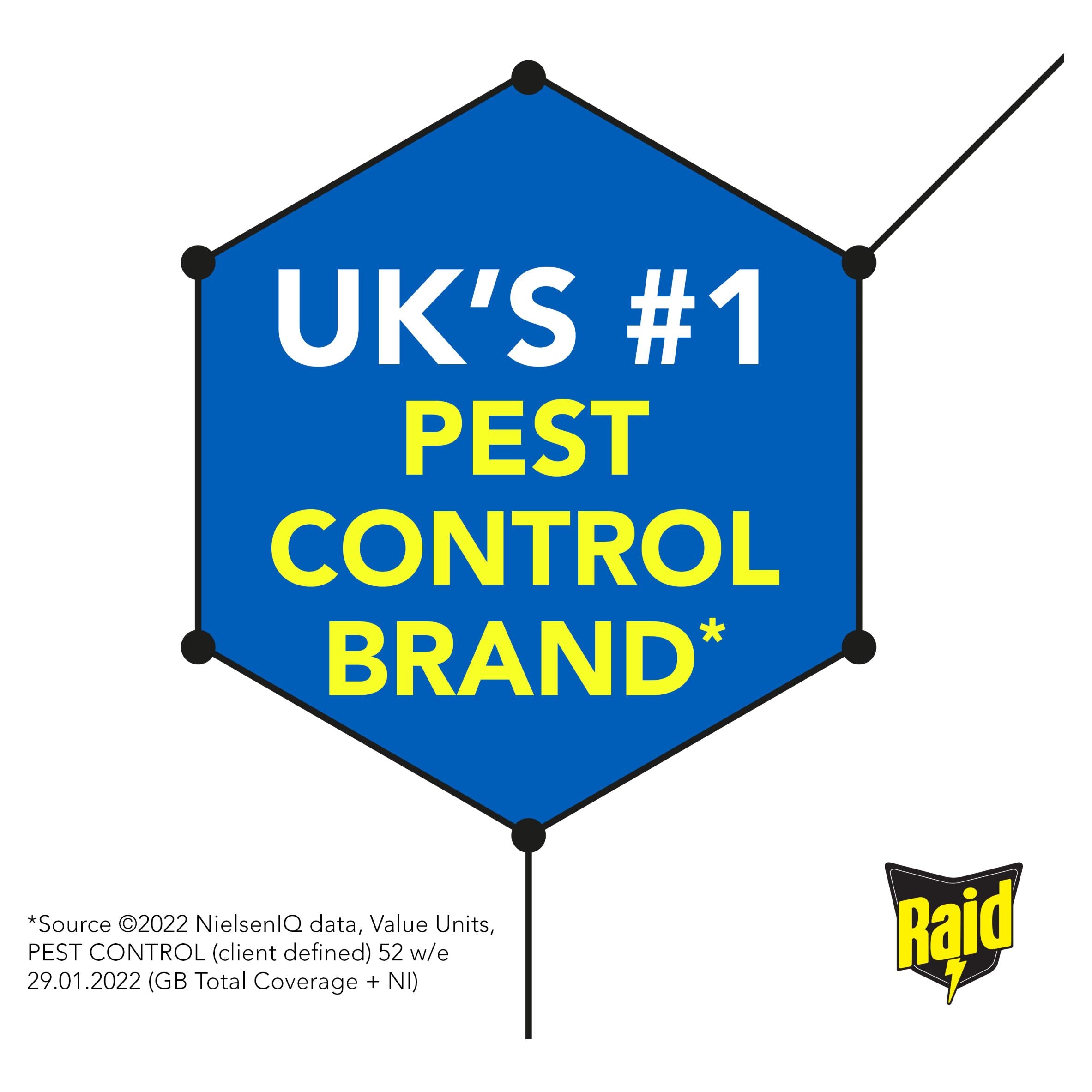 Raid fly wasp mosquito killer 300ml aerosol (British brand)