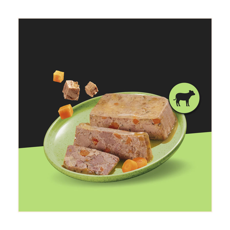 Cesar Garden Terrine wet dog food variety pack 8x150g, UK version
