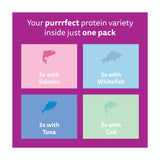 Whiskas kitten wet food fish favourites in jelly 12x85g (British brand)