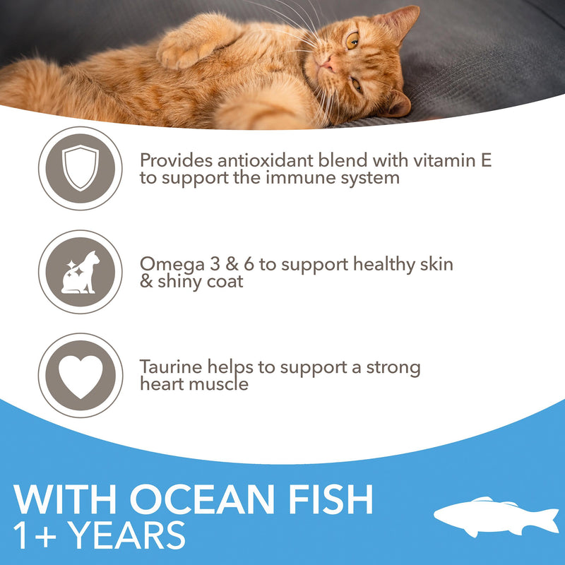 IAMS adult cat food ocean fish 800g - British product