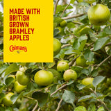 Colman's Bramley apple sauce 155g, imported from the UK