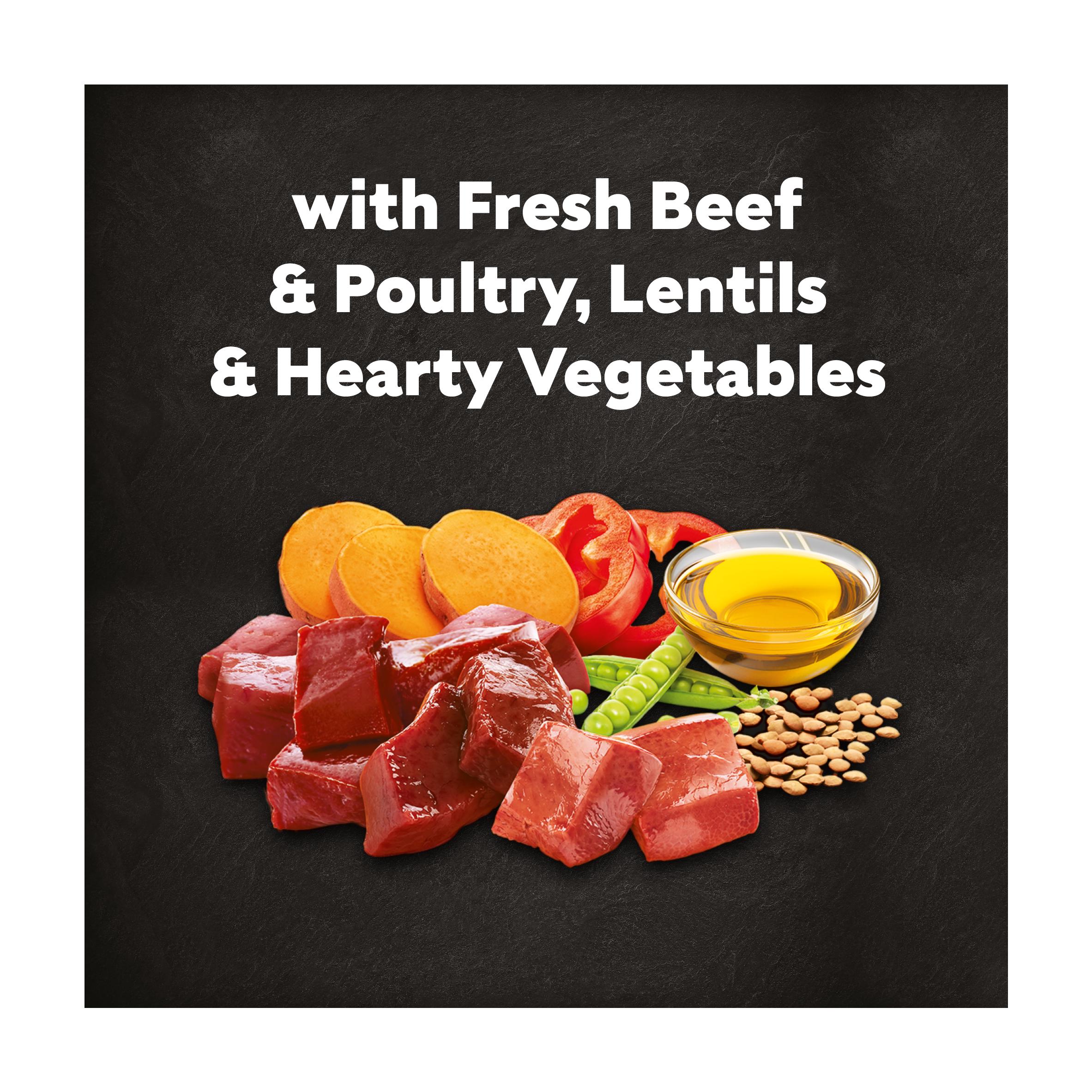 Cesar dry dog food beef poultry and vegetables 1.4kg, UK version