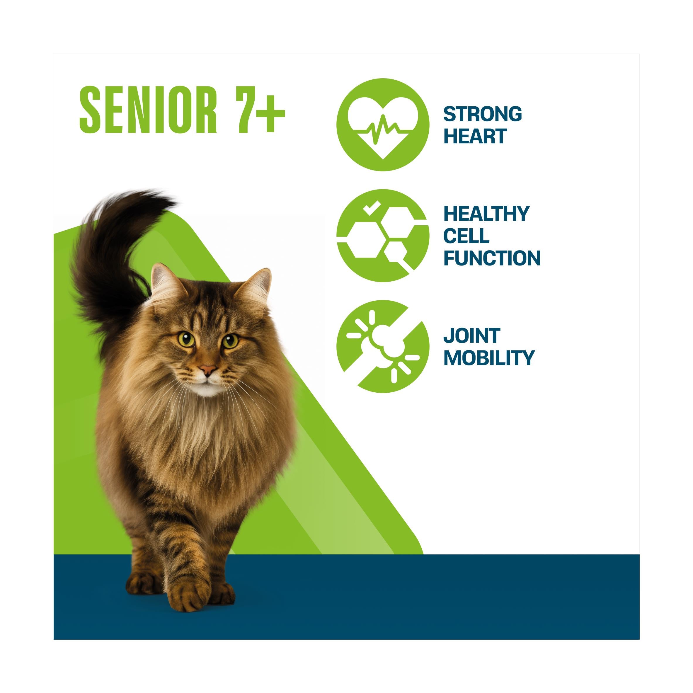 Perfect Fit dry cat food Senior Chicken 750g, UK version