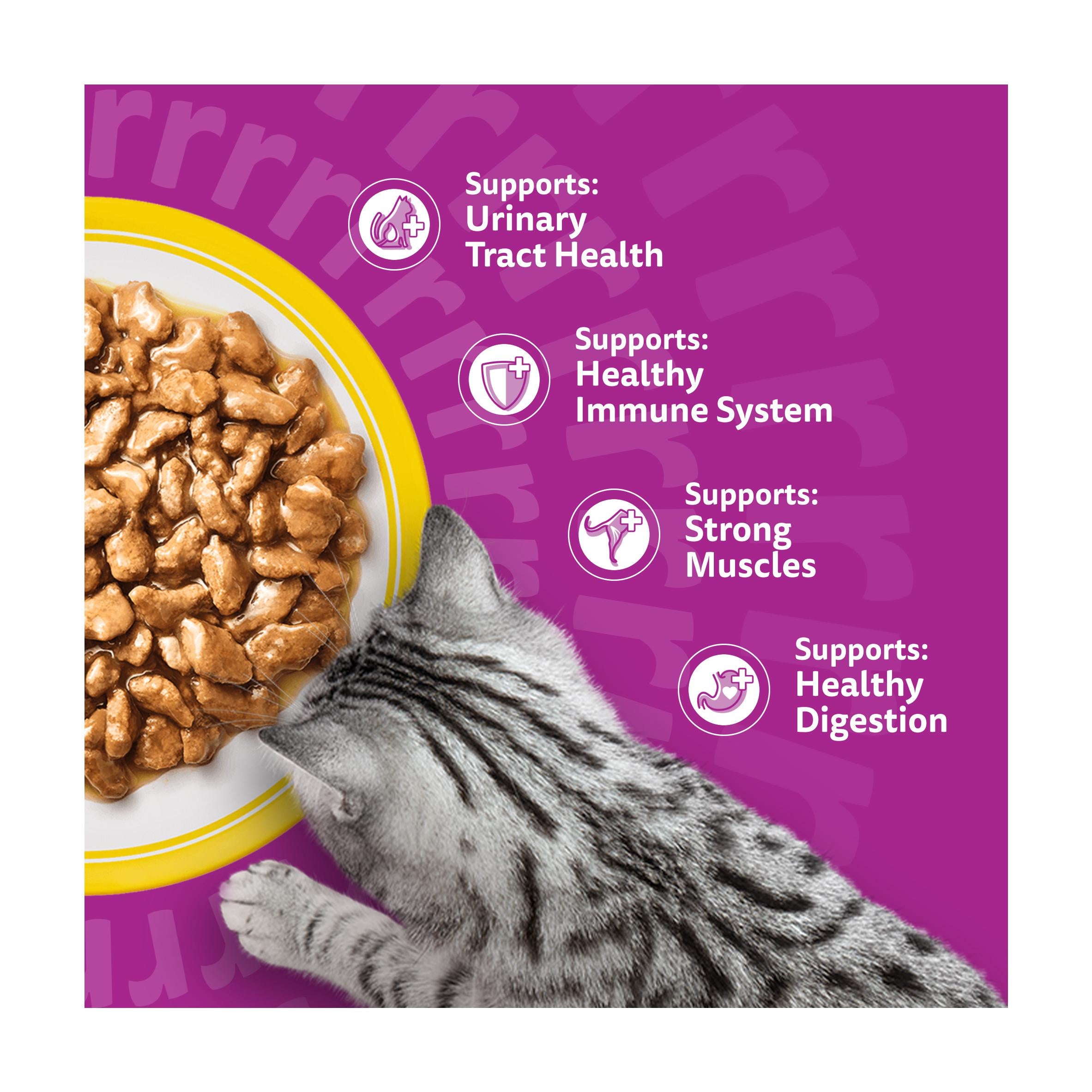 Whiskas 7+ Poultry Feasts senior cat food pouches 12 x 85g (British brand)