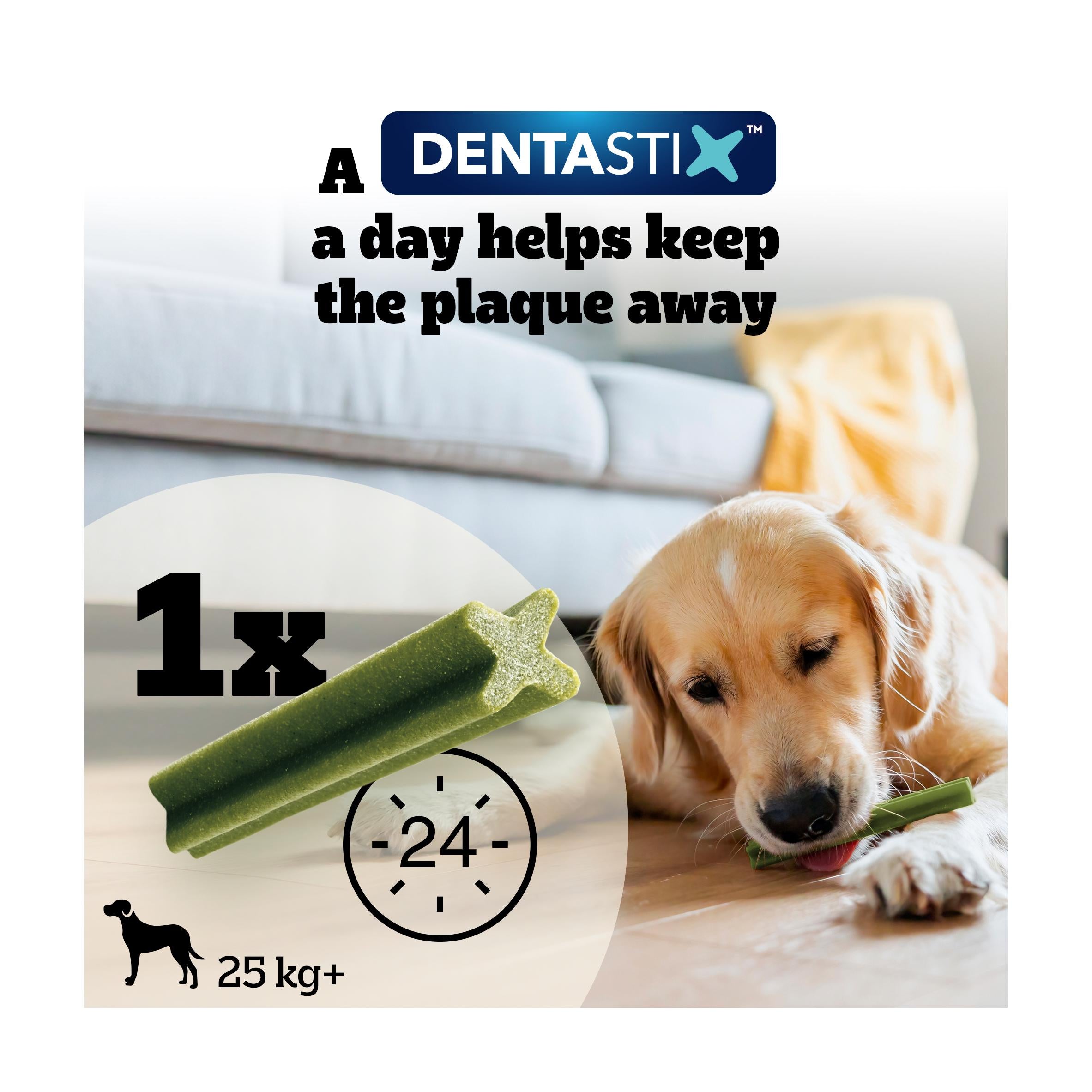 Pedigree Dentastix Fresh large dog treats x21 810g, imported from the UK