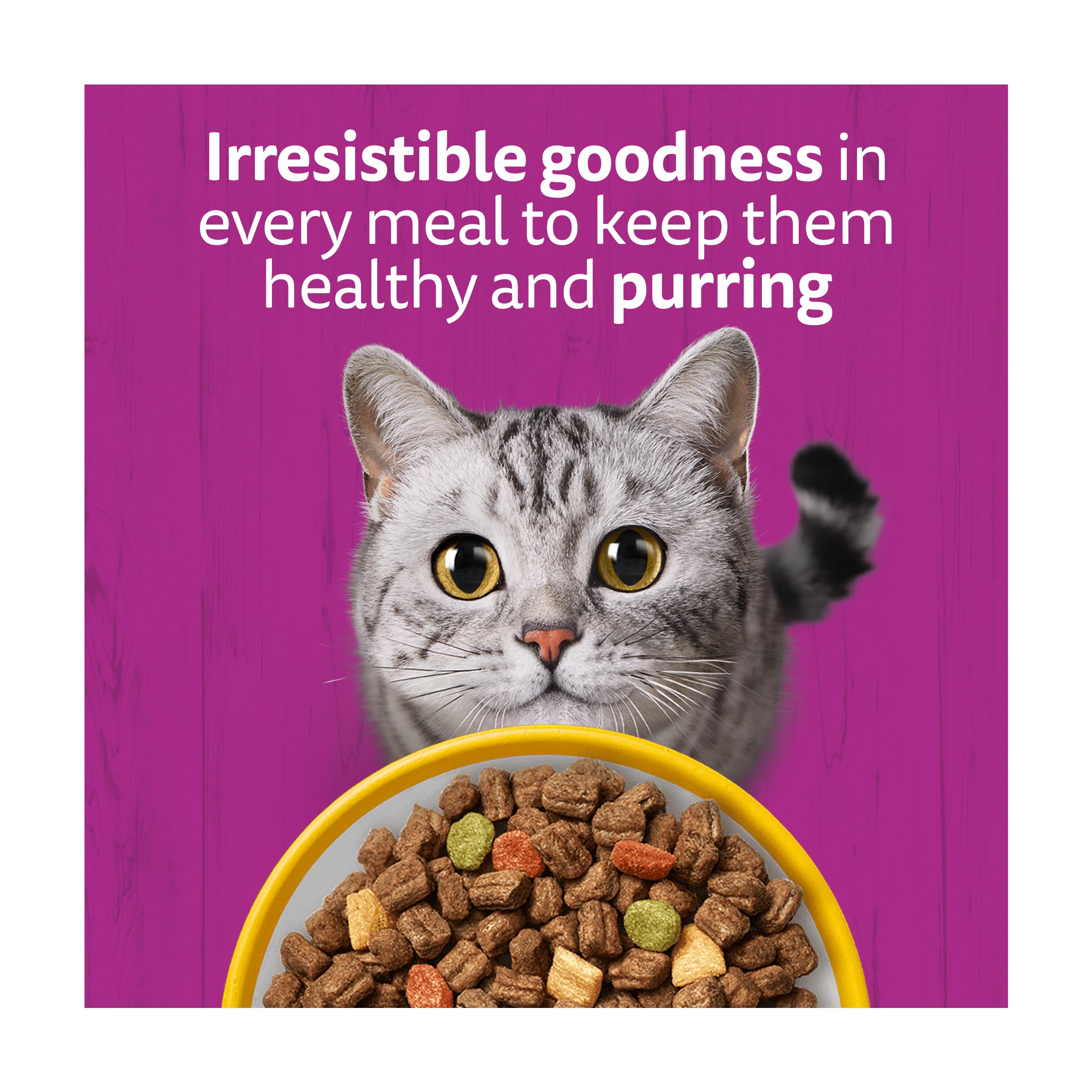 Whiskas dry cat food senior chicken 1.9kg, UK version