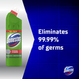 Domestos Mountain Fresh thick bleach 1L, imported from the UK