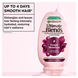 Garnier conditioner Grape Moisture 250ml, UK version