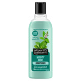 Alberto Balsam Mighty Mint conditioner 300ml (British brand)