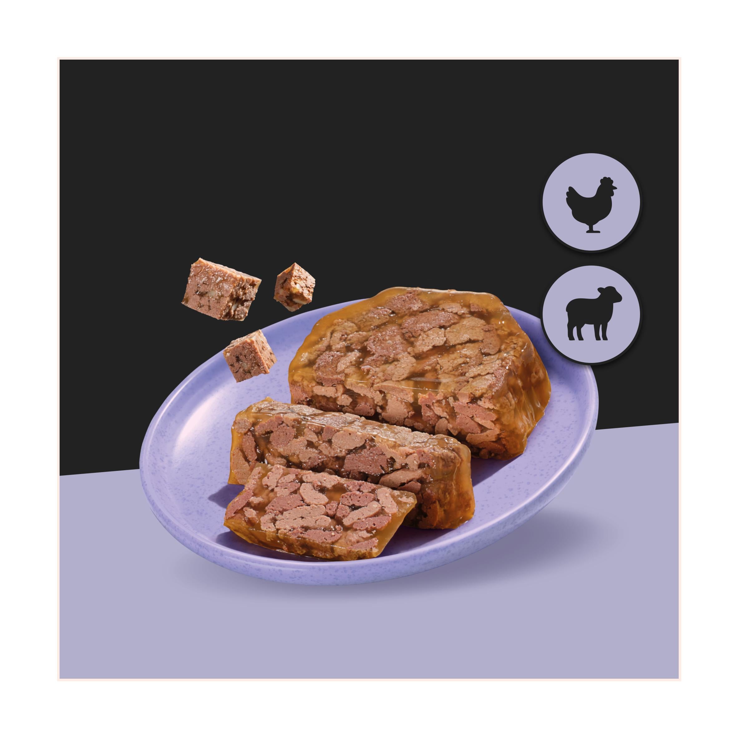Cesar Lamb Chicken Dog Food Terrine Tray 150g - British product