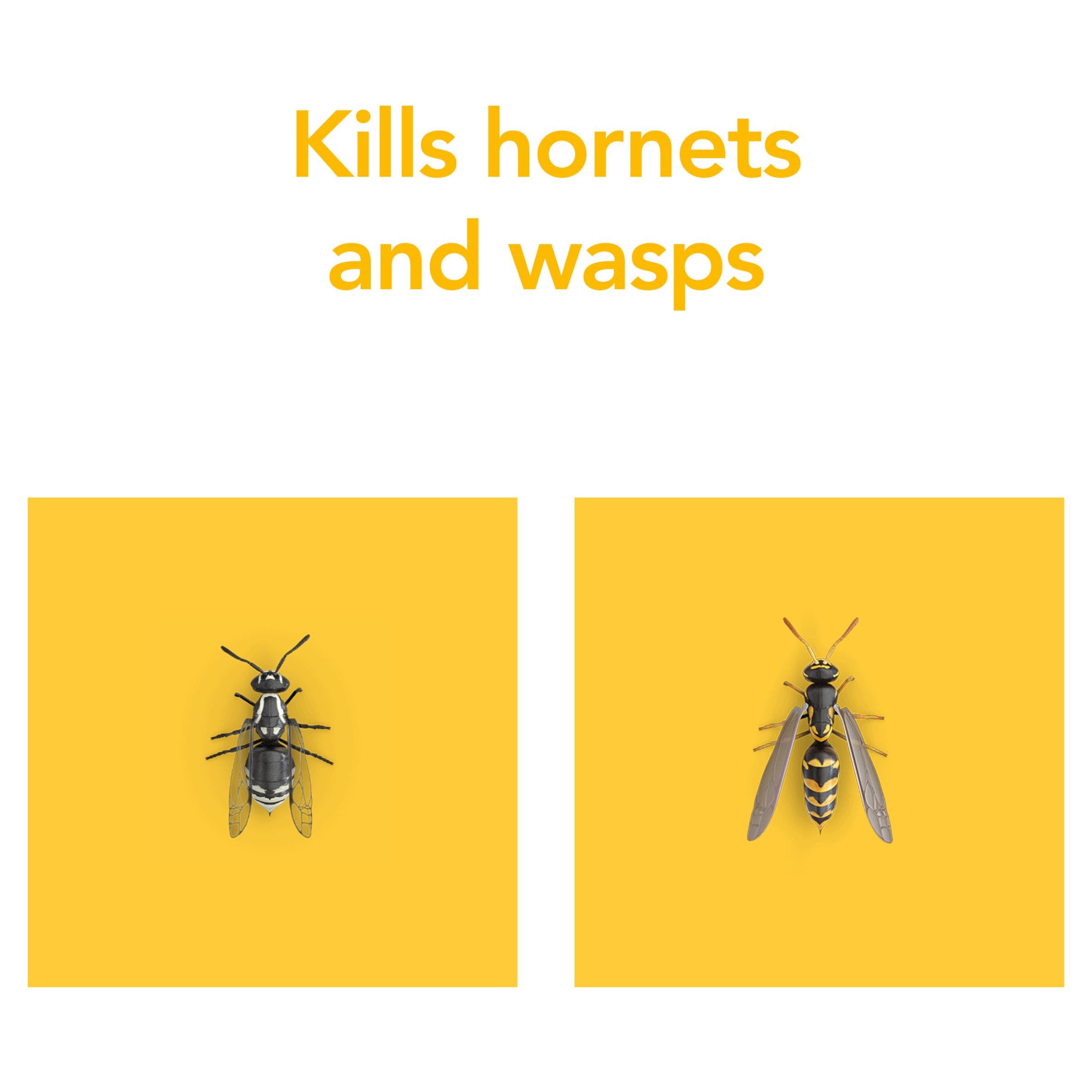Raid rapid action wasp hornet spray 300ml, imported from the UK