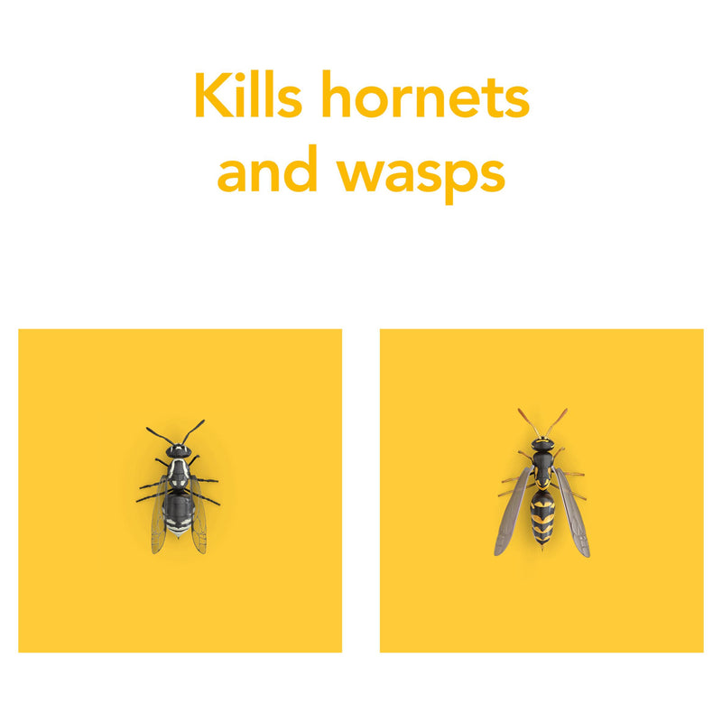 Raid rapid action wasp hornet spray 300ml, imported from the UK