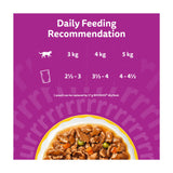 Whiskas 1+ Wet Cat Food Pouches 12x85g (British brand)