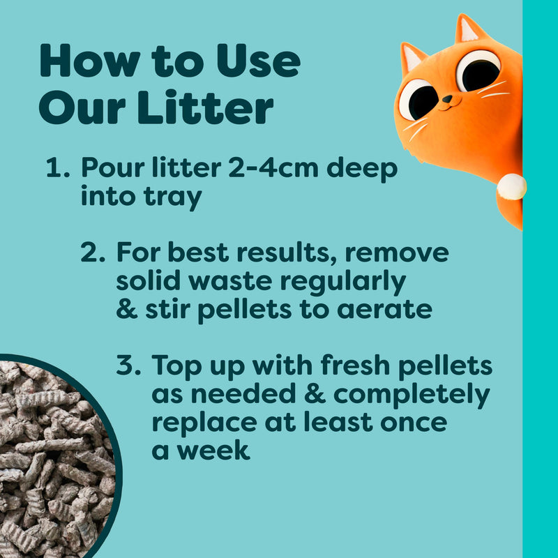 Breeder's Choice paper cat litter 10L - British product