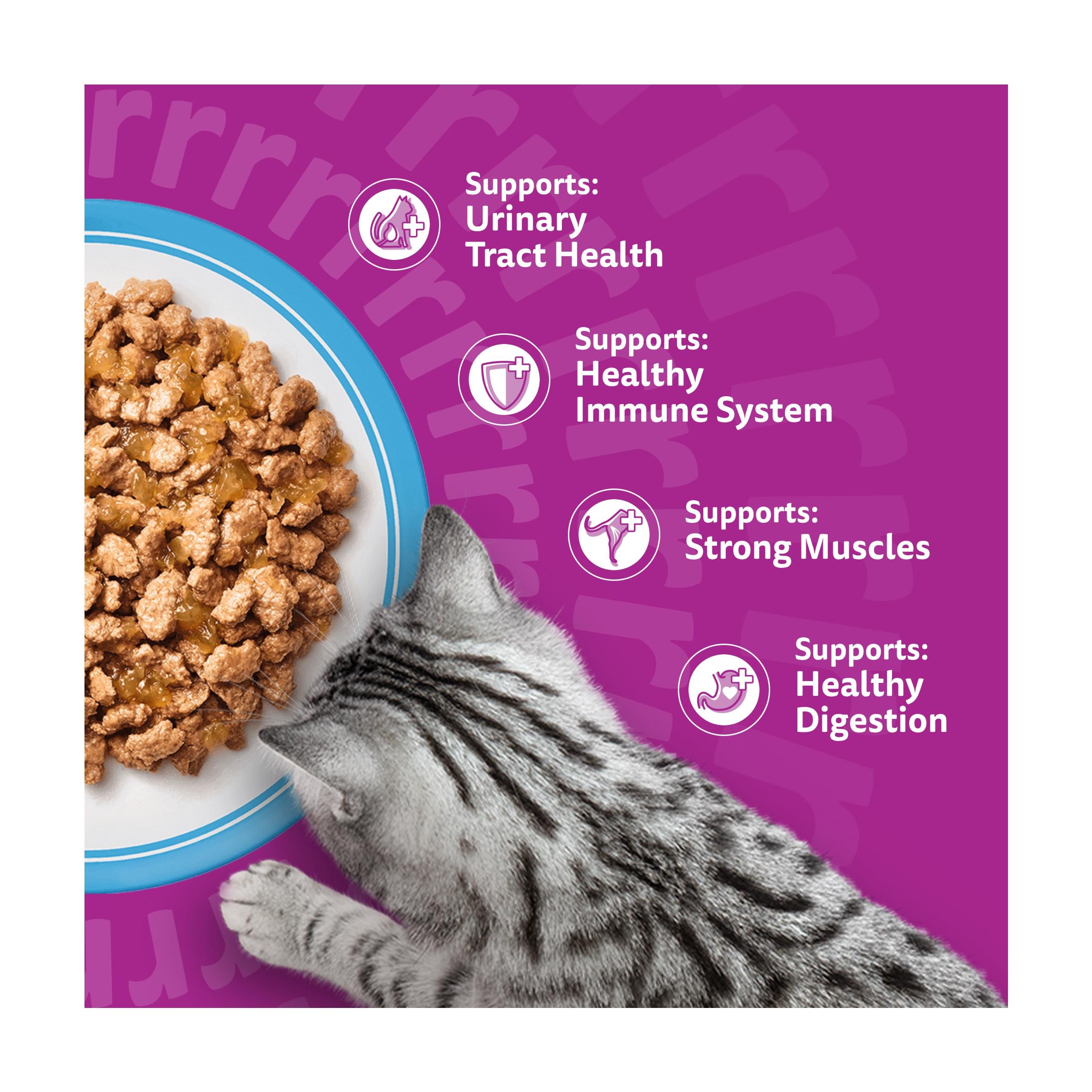 Whiskas cat food pouches Fish Favourites in Jelly 12x85g, UK version
