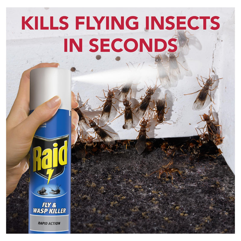 Raid Rapid Action insect killer spray 300ml (British brand)