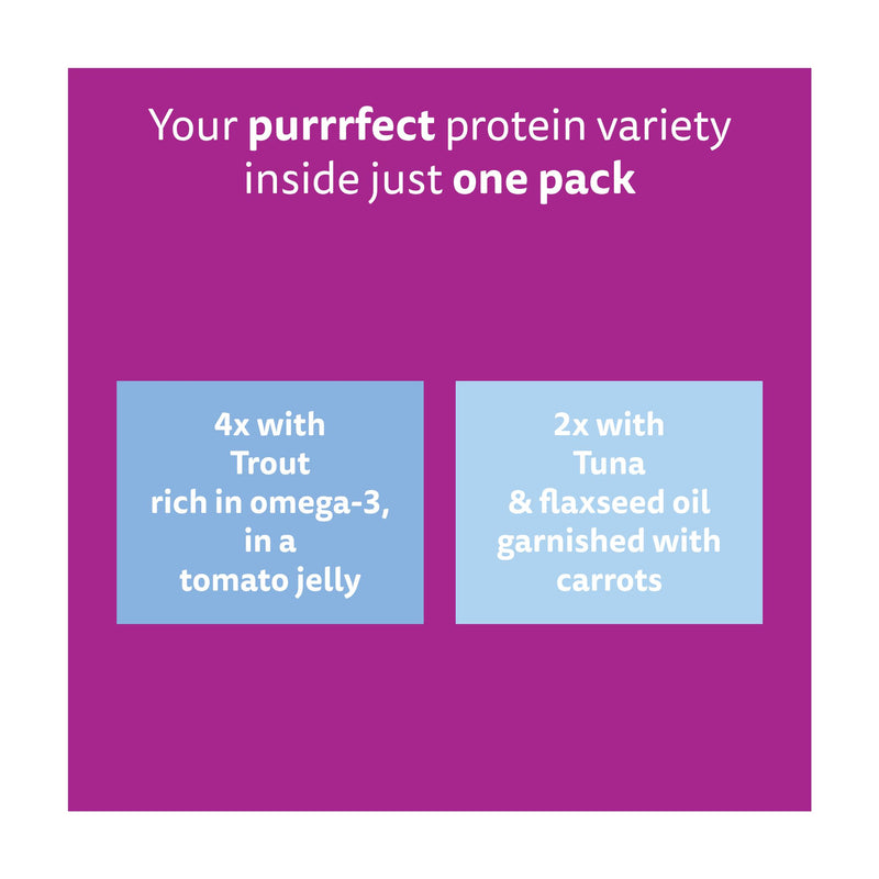 Whiskas wet cat food pouches fish in jelly 6x50g, UK version