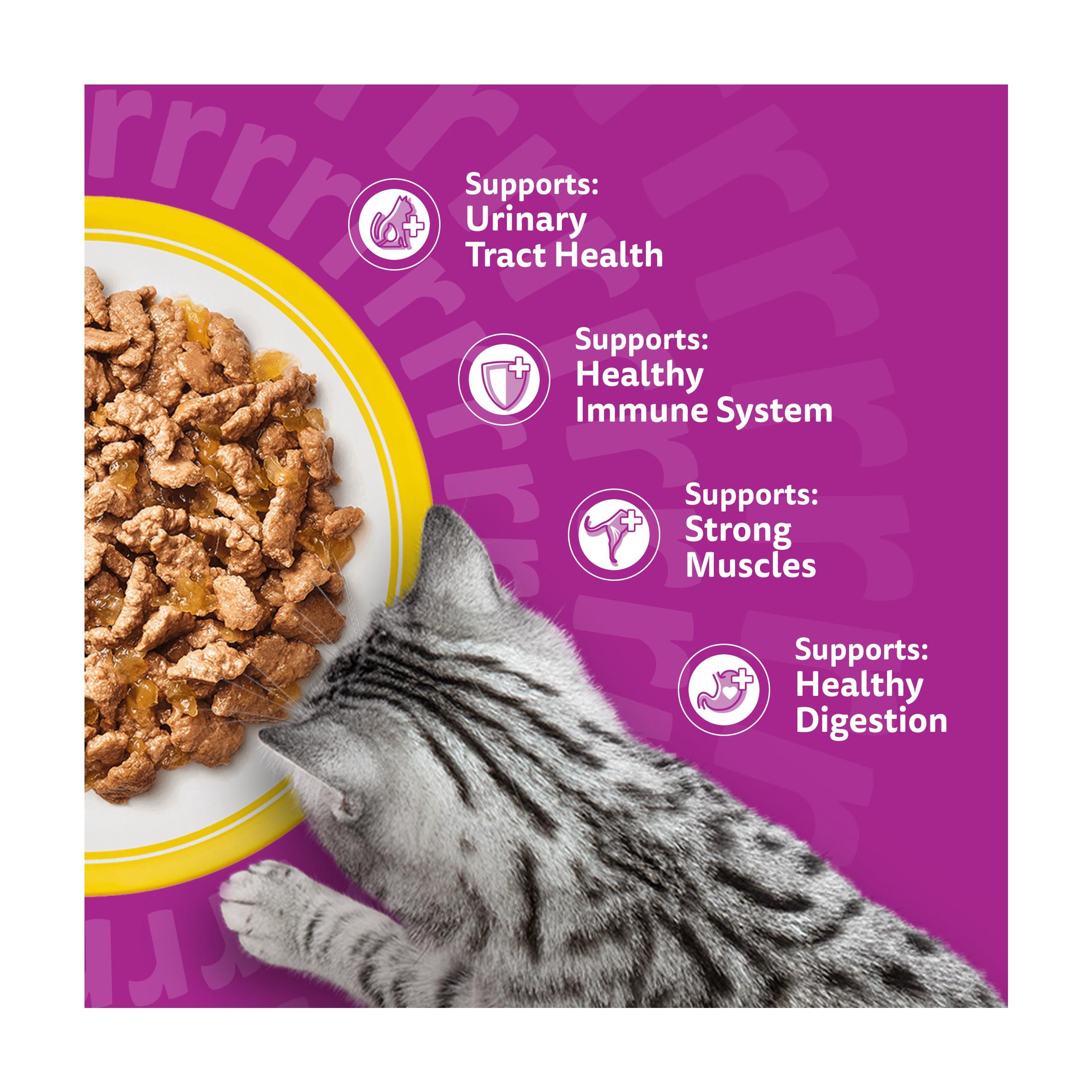 Whiskas 7+ poultry feasts in jelly senior cat food 12x85g, imported from the UK