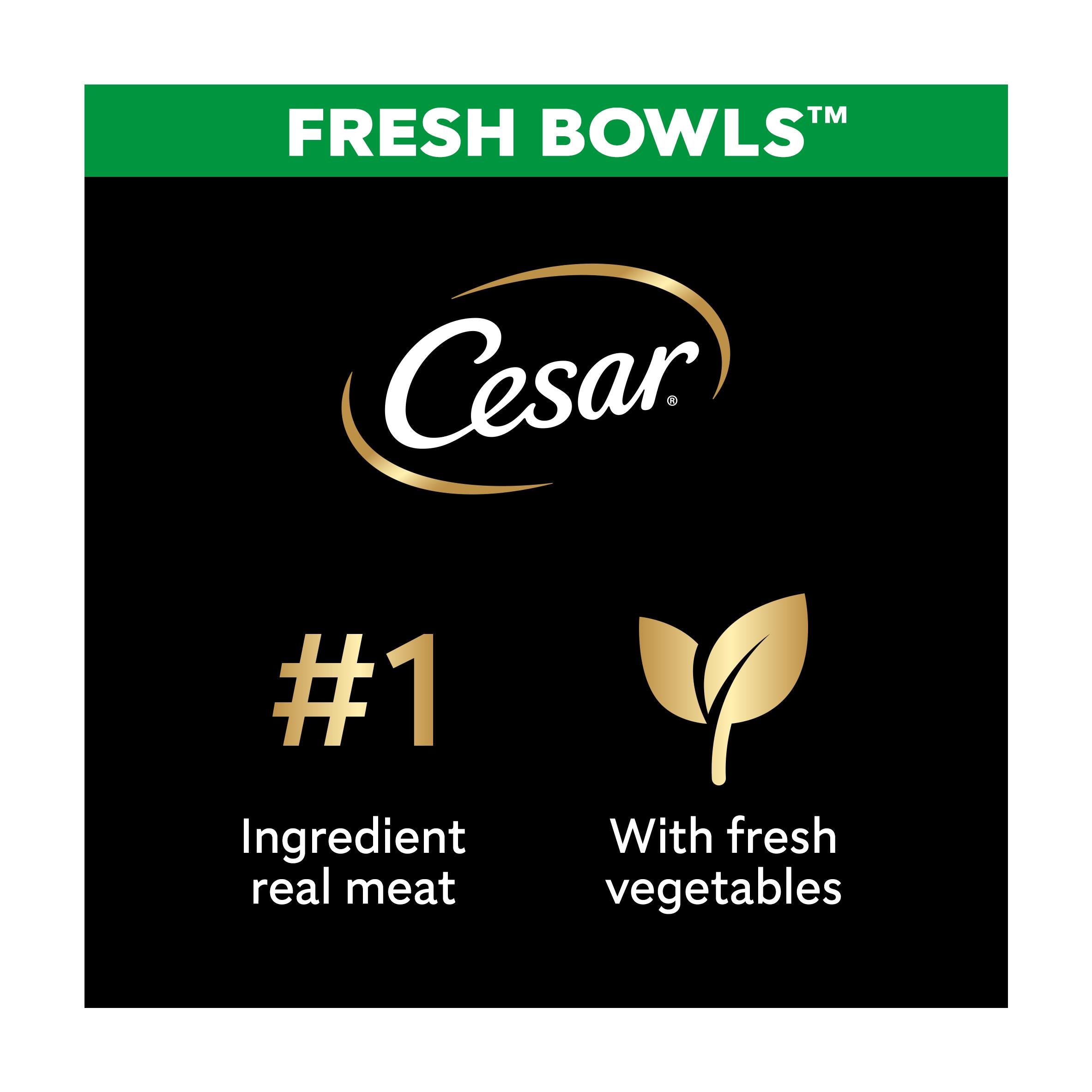 Cesar Fresh Bowl dog food with chicken and vegetables 85g, imported from the UK