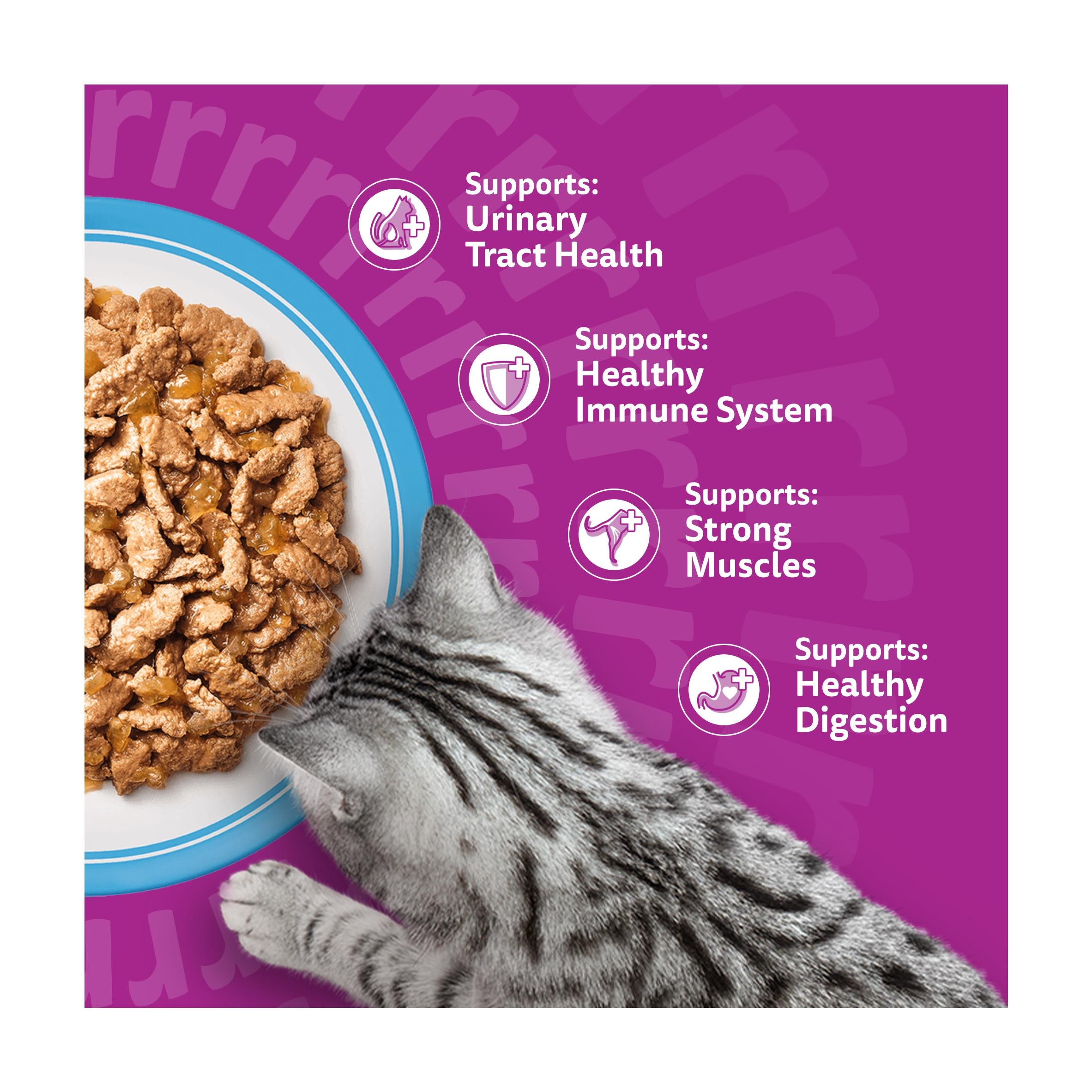 Whiskas 7+ fish favourites jelly senior cat food 12x85g - British product