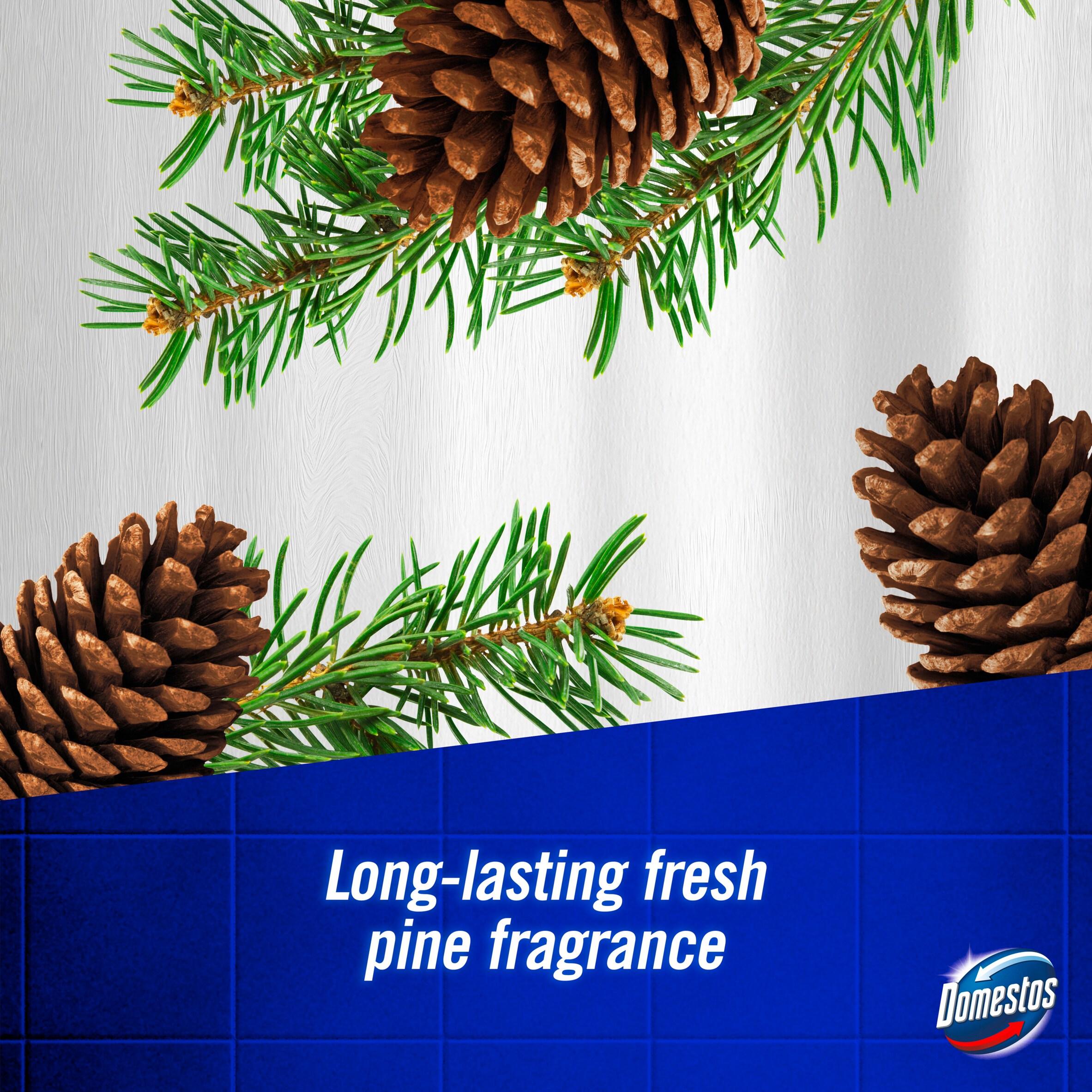 Domestos bleach foam Pine Boost 450ml (British brand)