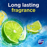 Domestos toilet rim block Lime 50g - British product