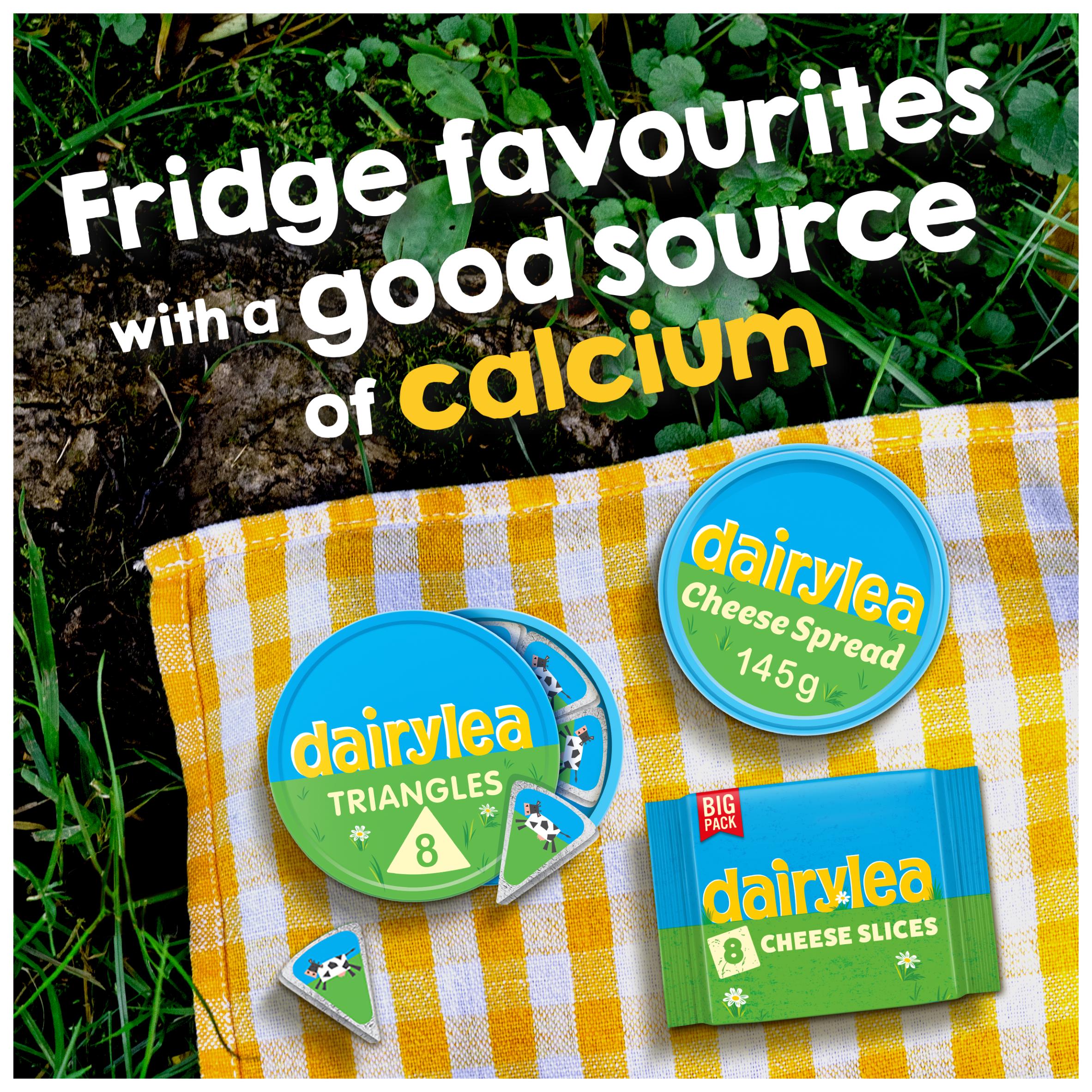 Dairylea cheese spread 145g - British product