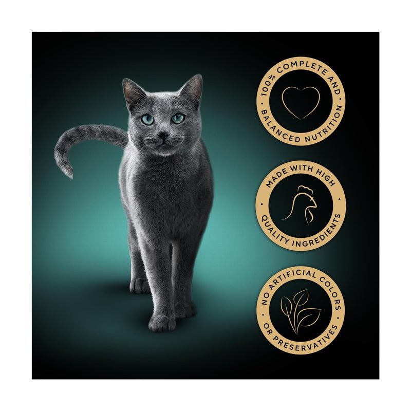 Sheba wet cat food chicken terrine 85g, UK version