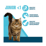 Perfect Fit kitten dry cat food chicken 750g, imported from the UK