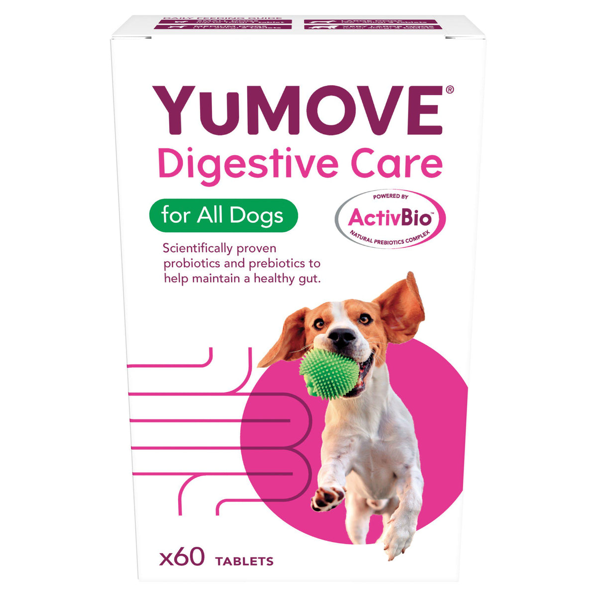 YuMove Digestive Care dog supplement tablets x60 (British brand)
