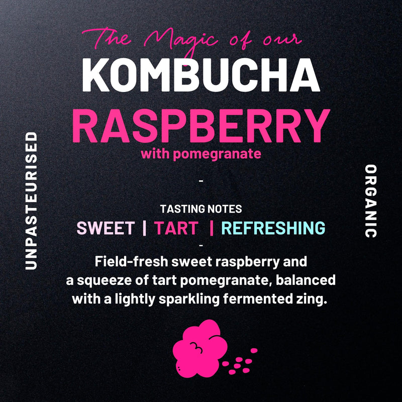 One Living raspberry pomegranate kombucha 4x250ml pack - British product