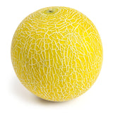 Sainsburys Galia Melon