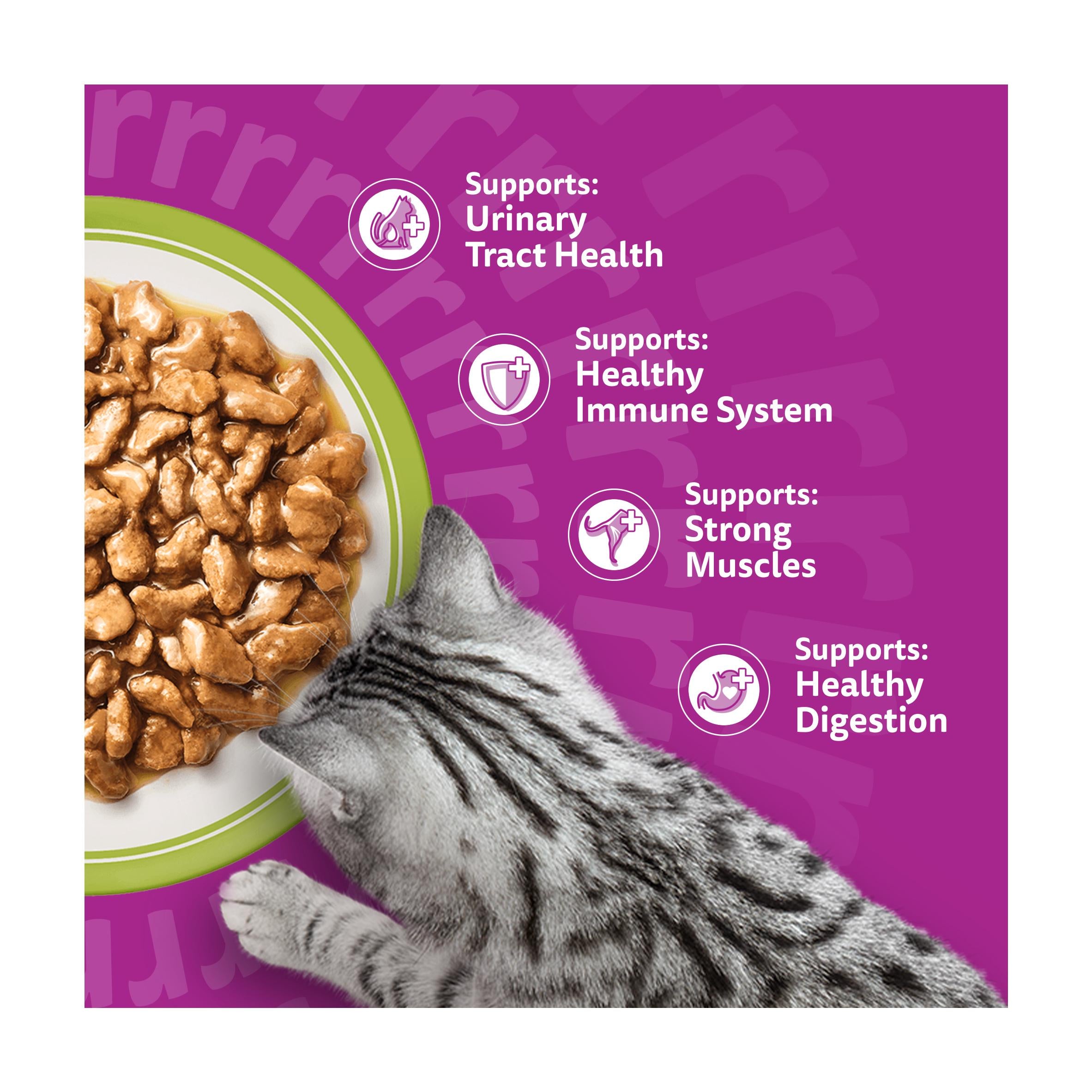 Whiskas senior cat food pouches mixed menu gravy 12x85g, UK version