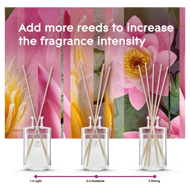 Glade Relaxing Zen Reed Diffuser 50ml bottle, UK version