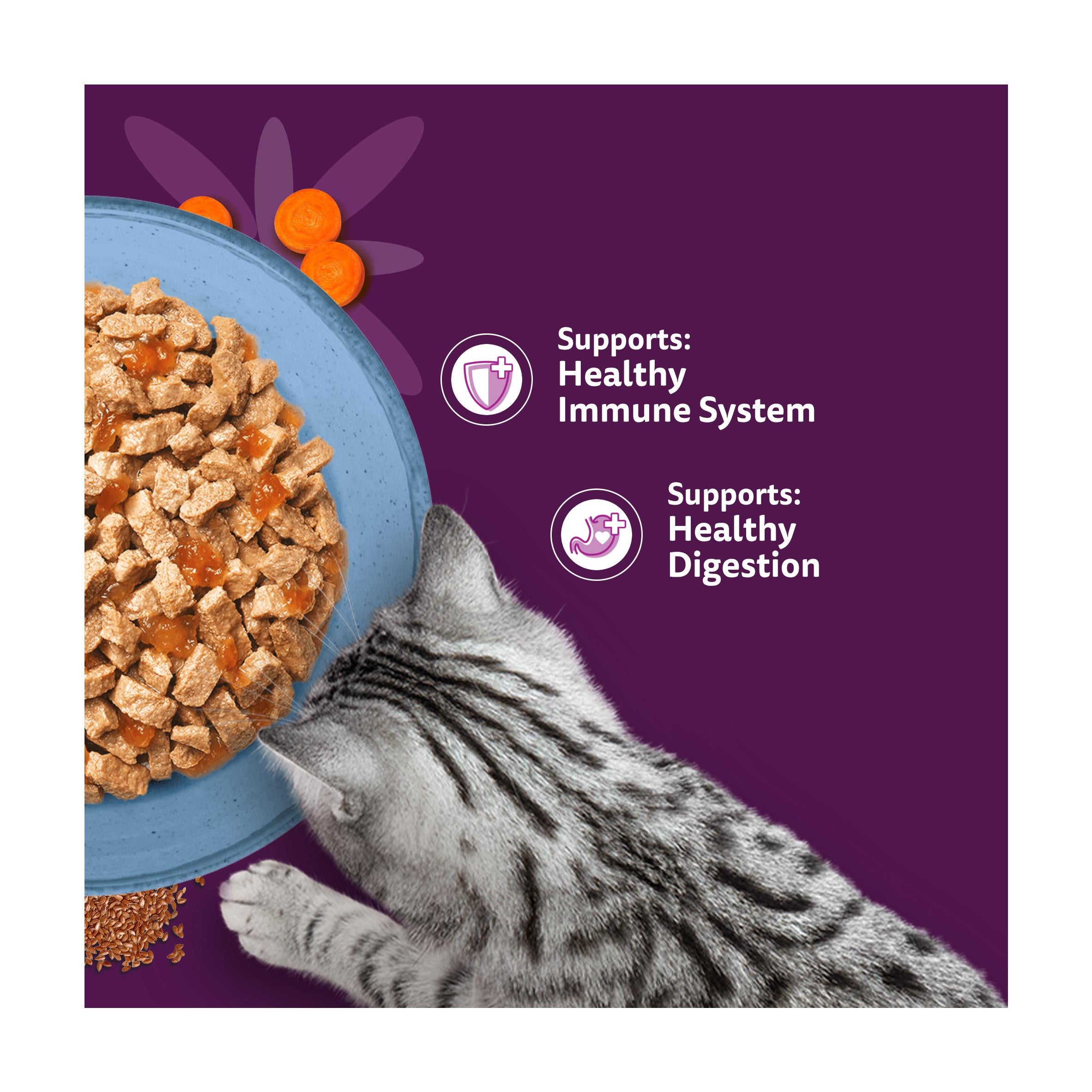 Whiskas wet cat food pouches fish in jelly 6x50g, UK version