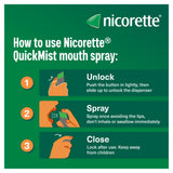 Nicorette stop smoking mouthspray cool berry 2 units, UK version