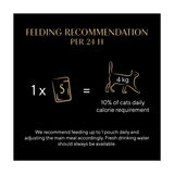 Sheba wet cat food chicken soup 4x40g, imported from the UK