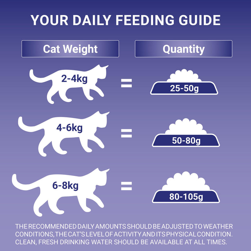 Purina ONE Senior 7+ chicken dry cat food 750g bag (British brand)