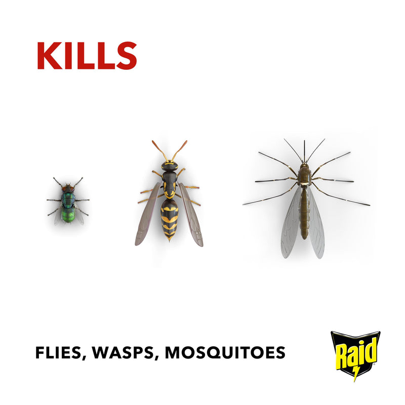 Raid fly wasp mosquito killer 300ml aerosol (British brand)