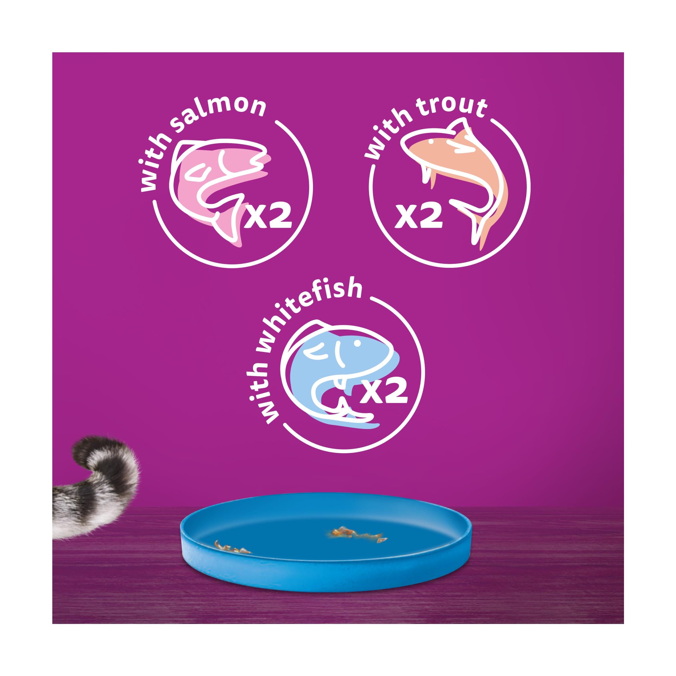 Whiskas Ocean Menu wet cat food 6x400g, imported from the UK