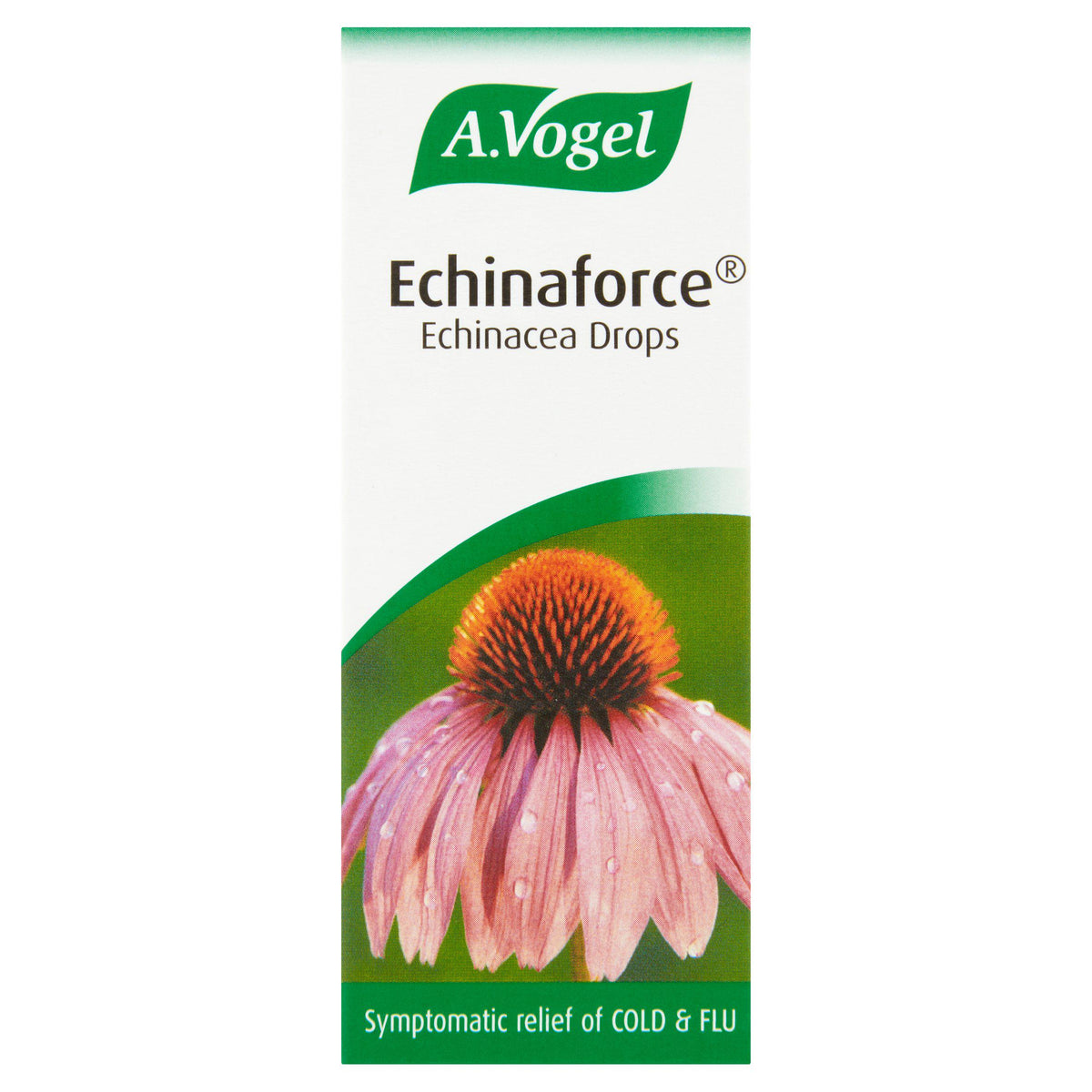 A.vogel Echinacea drops 50ml herbal remedy - British product