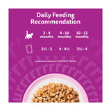 Whiskas kitten wet food fish favourites in jelly 12x85g (British brand)
